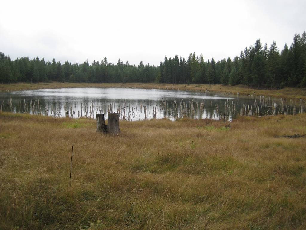 NHN EVERGREEN DRIVE, Eureka, MT 59917