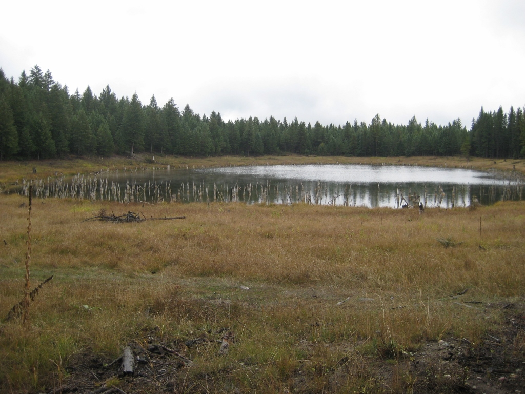NHN EVERGREEN DRIVE, Eureka, MT 59917