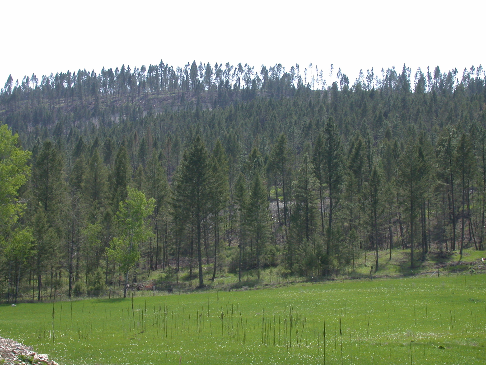NHN TOBACCO VALLEY VIEW DRIVE, Eureka, MT 59917