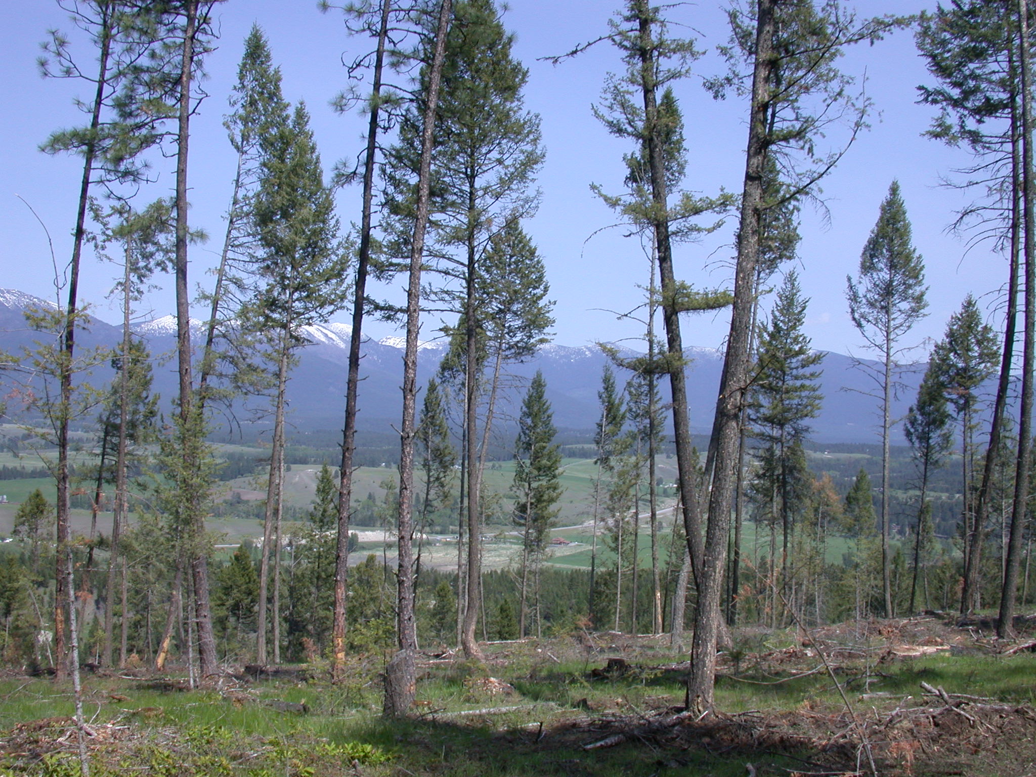 NHN TOBACCO VALLEY VIEW DRIVE, Eureka, MT 59917