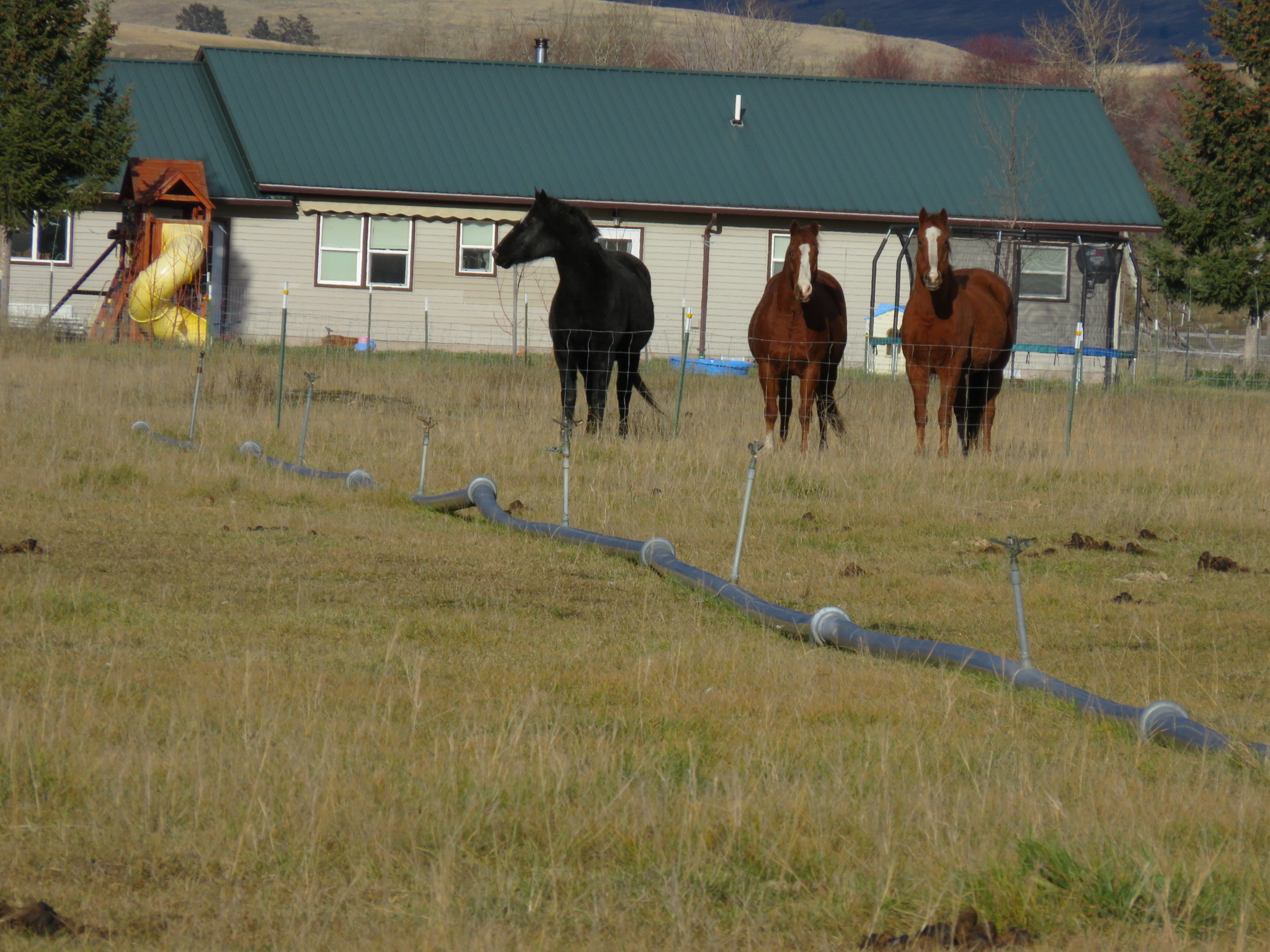 NHN Boundary Street, Eureka, MT 59917