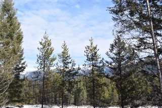 nhn Sinclair Creek Road, Eureka, MT 59917