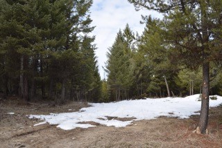 nhn Sinclair Creek Road, Eureka, MT 59917