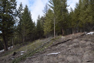 nhn Sinclair Creek Road, Eureka, MT 59917
