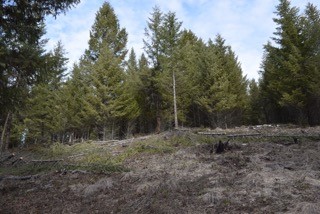 nhn Sinclair Creek Road, Eureka, MT 59917