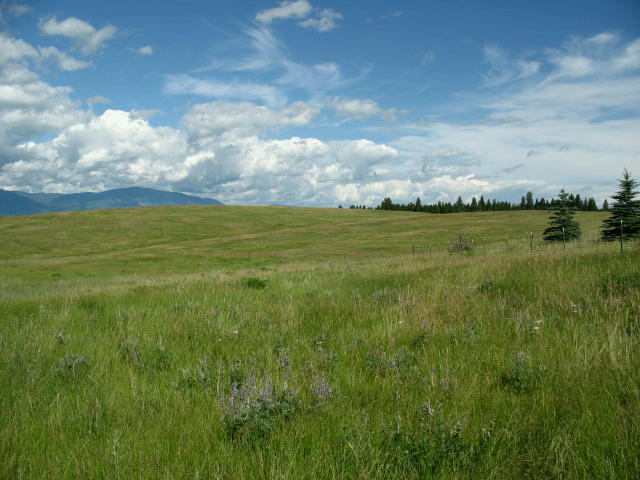 NHN REVERE ROAD, Eureka, MT 59917