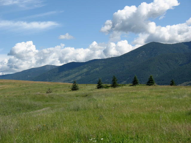 NHN REVERE ROAD, Eureka, MT 59917