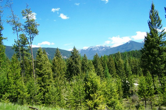 MUD CREEK ROAD, Eureka, MT 59917