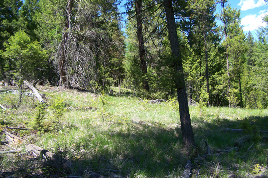 MUD CREEK ROAD, Eureka, MT 59917