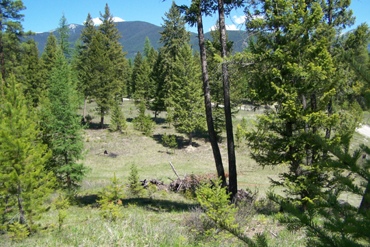 MUD CREEK ROAD, Eureka, MT 59917