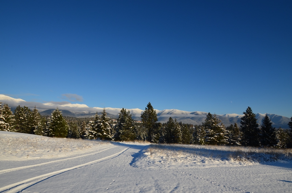 NHN SUMMIT TRAIL, Eureka, MT 59917
