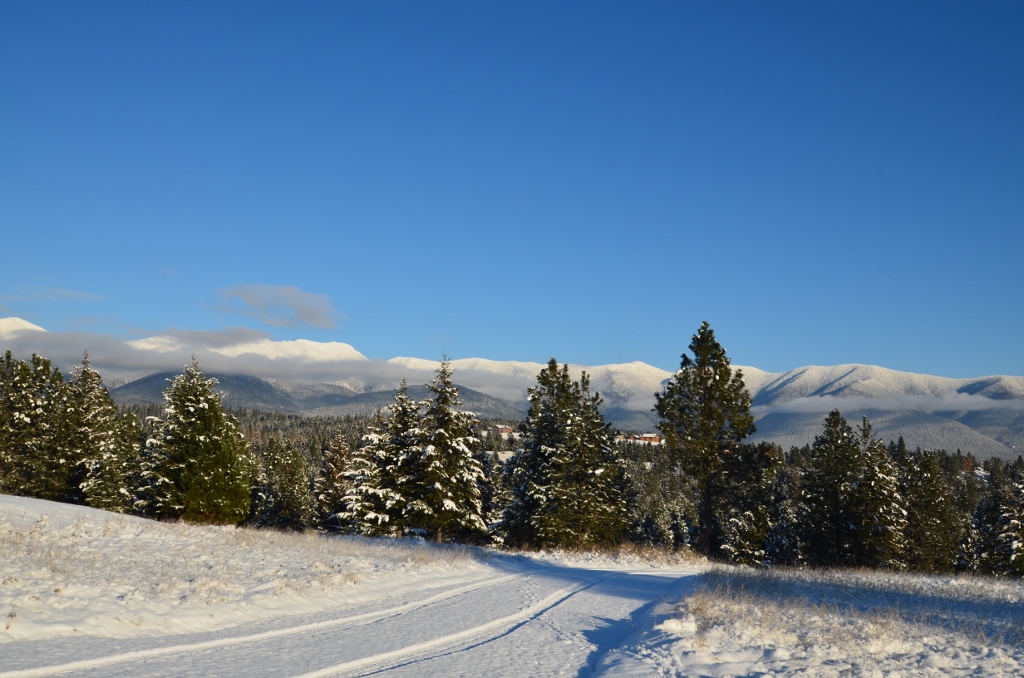 NHN SUMMIT TRAIL, Eureka, MT 59917