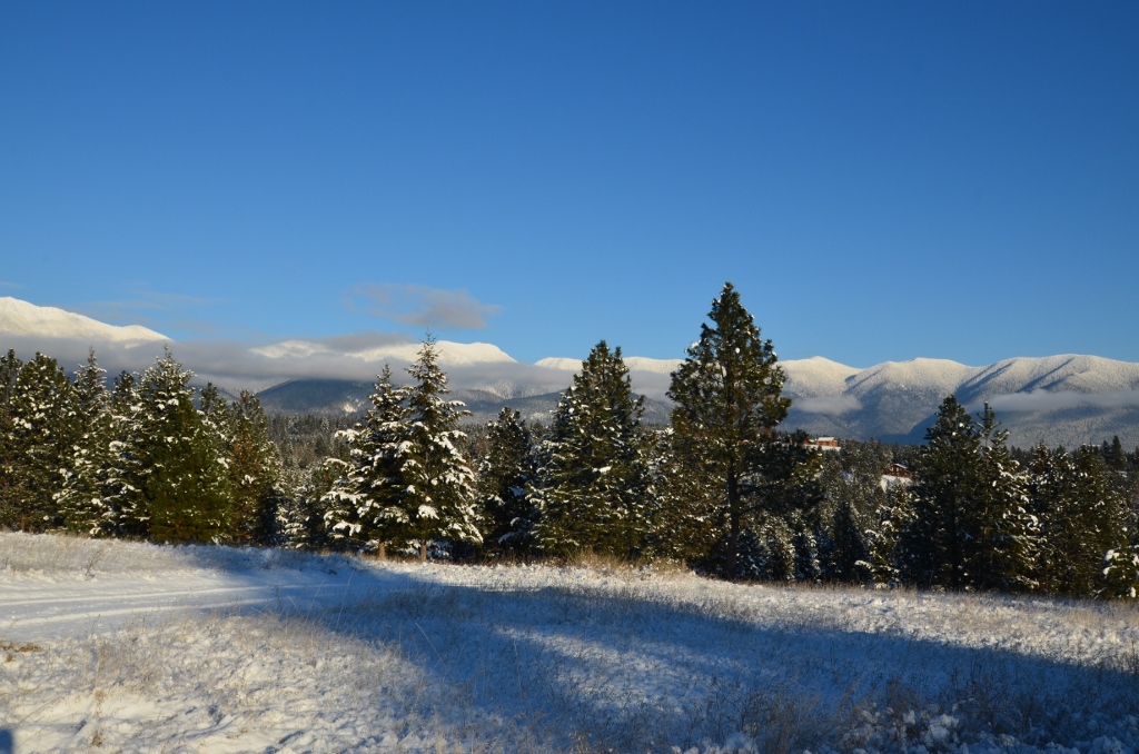 NHN SUMMIT TRAIL, Eureka, MT 59917
