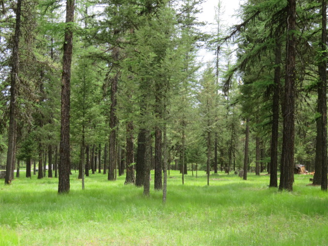 NHN Crystal Lakes Drive, Fortine, MT 59918