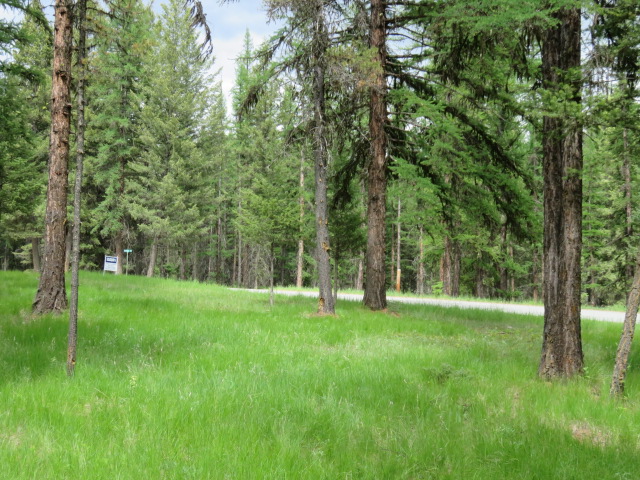 NHN Crystal Lakes Drive, Fortine, MT 59918