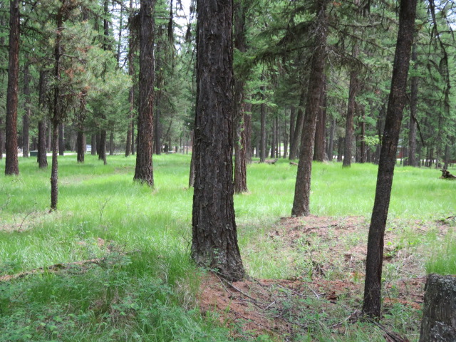 NHN Crystal Lakes Drive, Fortine, MT 59918
