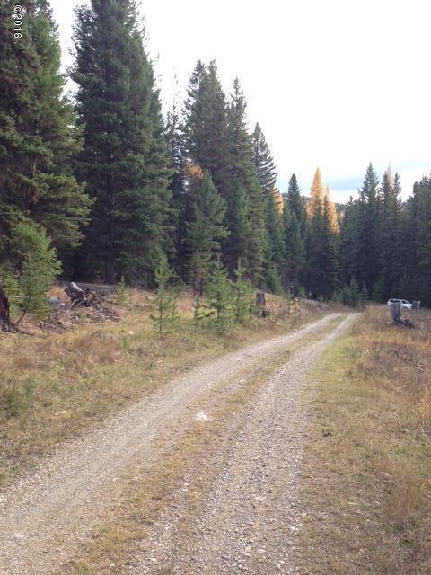 689 Coyote Ridge Pass, Fortine, MT 59918