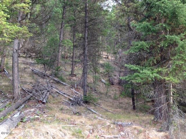 689 Coyote Ridge Pass, Fortine, MT 59918