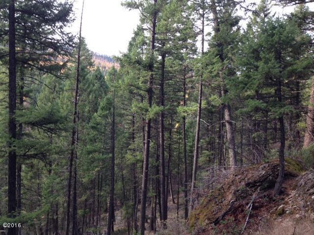 689 Coyote Ridge Pass, Fortine, MT 59918