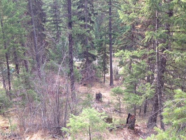 689 Coyote Ridge Pass, Fortine, MT 59918