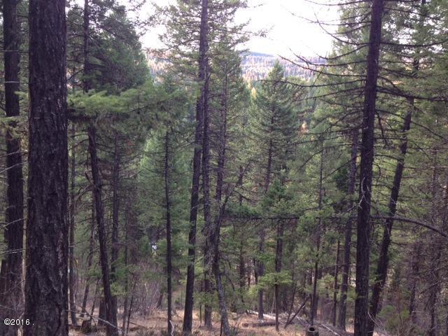689 Coyote Ridge Pass, Fortine, MT 59918