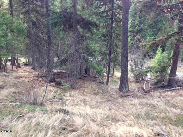 689 Coyote Ridge Pass, Fortine, MT 59918