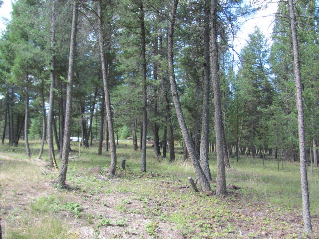 34 MOOSE FARM ROAD, Fortine, MT 59918