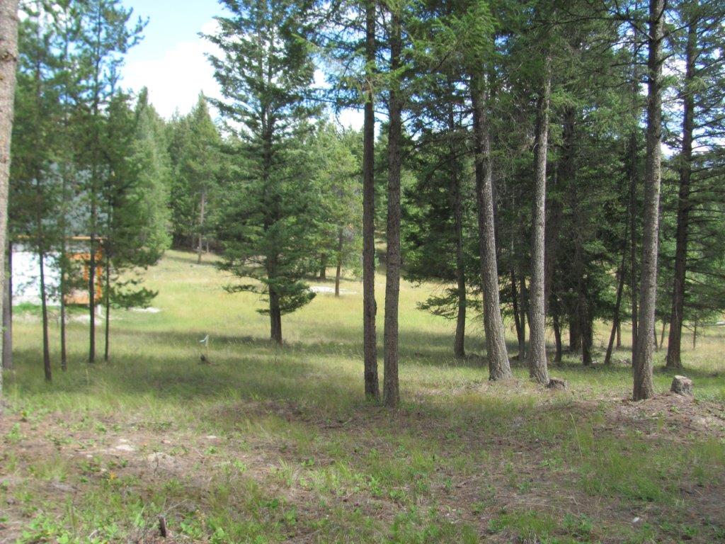 34 MOOSE FARM ROAD, Fortine, MT 59918