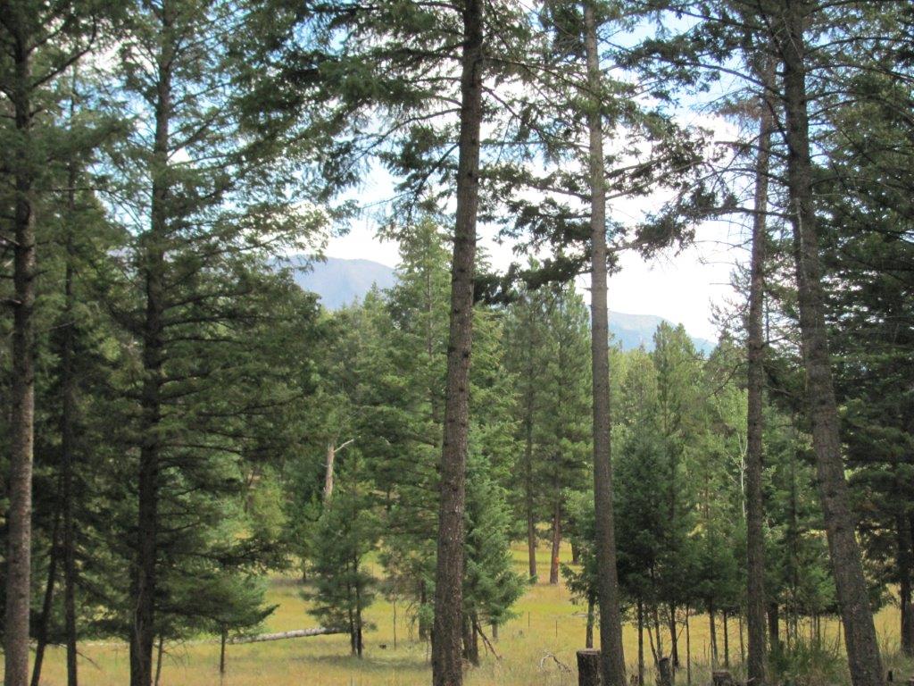 34 MOOSE FARM ROAD, Fortine, MT 59918
