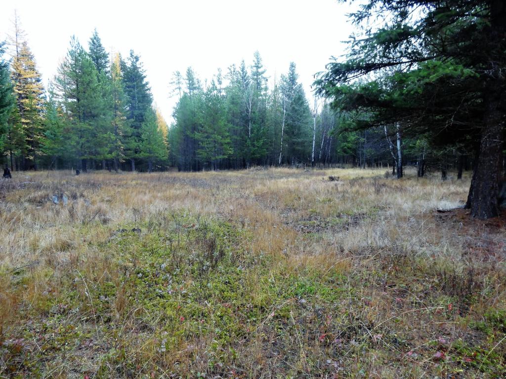 Nhn Barnaby Lake Road, Fortine, MT 59918