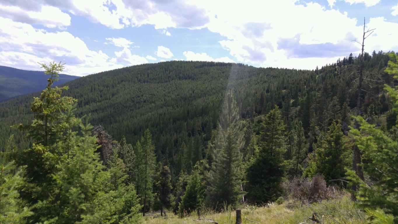 Nhn High Ridge Trail, Kila, MT 59920