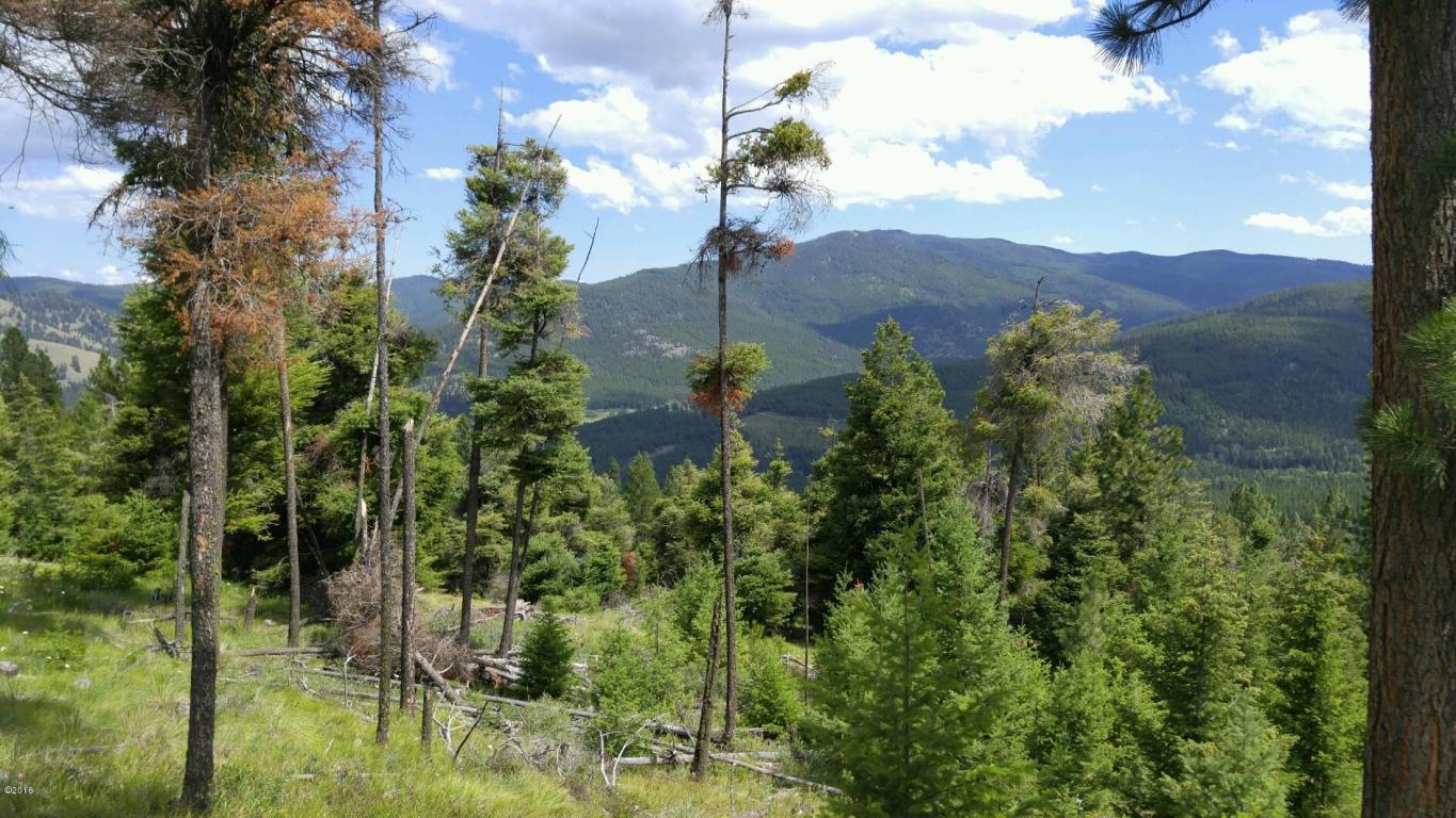 Nhn High Ridge Trail, Kila, MT 59920