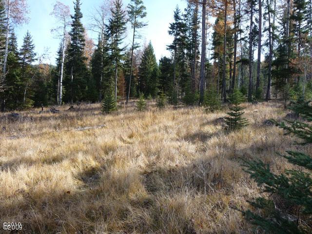 190 Bales Creek Trail, Kila, MT 59920