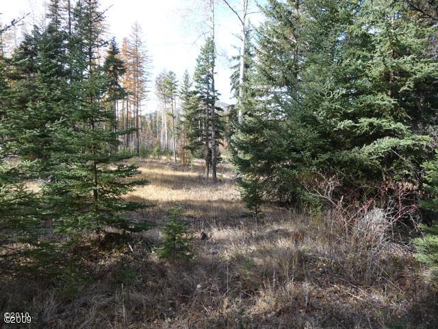 190 Bales Creek Trail, Kila, MT 59920