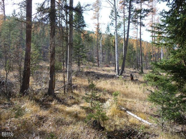 190 Bales Creek Trail, Kila, MT 59920