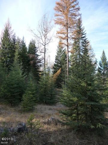 190 Bales Creek Trail, Kila, MT 59920