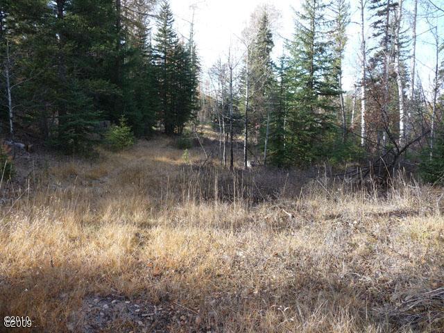190 Bales Creek Trail, Kila, MT 59920