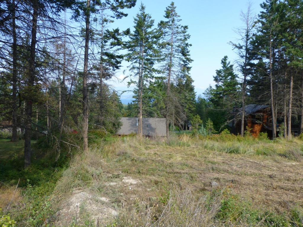 125 Timberlane Terrace, Lakeside, MT 59922