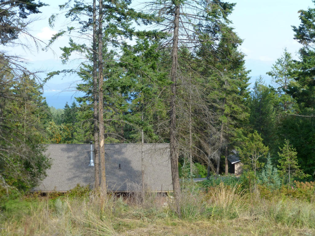 125 Timberlane Terrace, Lakeside, MT 59922