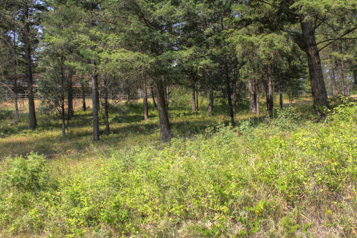 279 Lakeview Drive, Lakeside, MT 59922