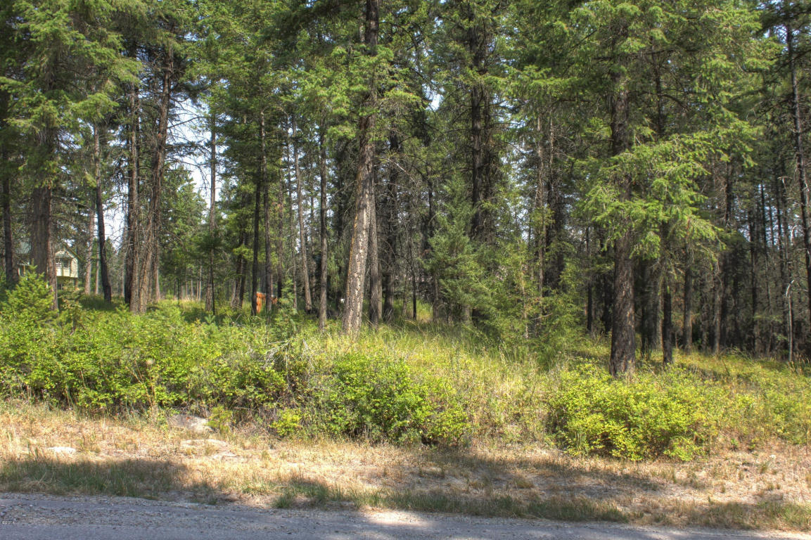 267 Lakeview Drive, Lakeside, MT 59922