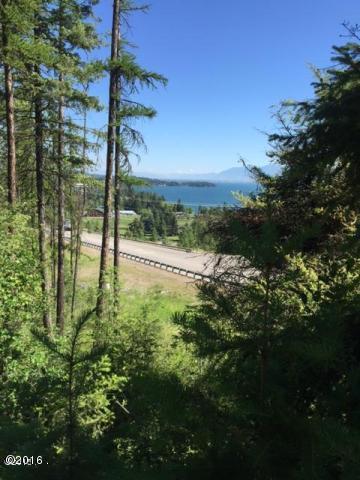 100 Tamarack Woods Drive, Lakeside, MT 59922
