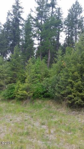 100 Tamarack Woods Drive, Lakeside, MT 59922