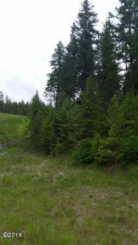 100 Tamarack Woods Drive, Lakeside, MT 59922