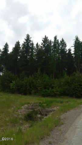 100 Tamarack Woods Drive, Lakeside, MT 59922