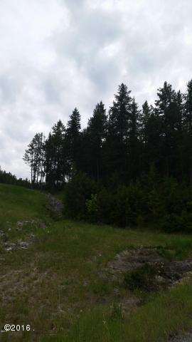 100 Tamarack Woods Drive, Lakeside, MT 59922