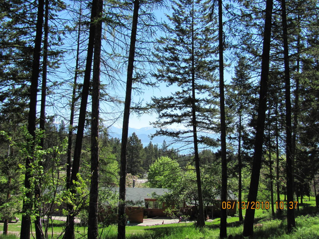 393 Skookum Road, Lakeside, MT 59922