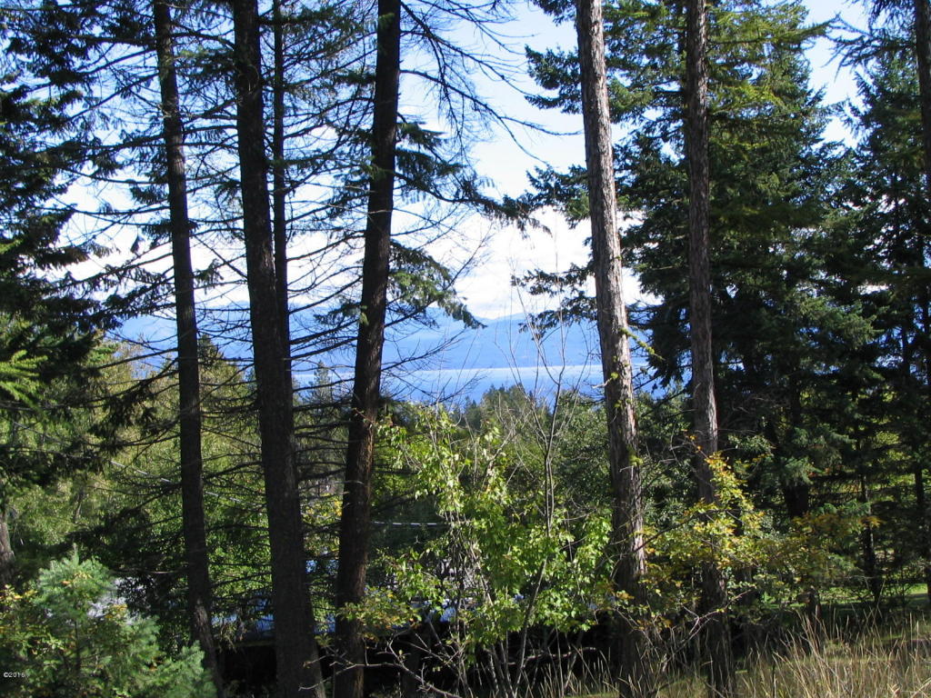 393 Skookum Road, Lakeside, MT 59922