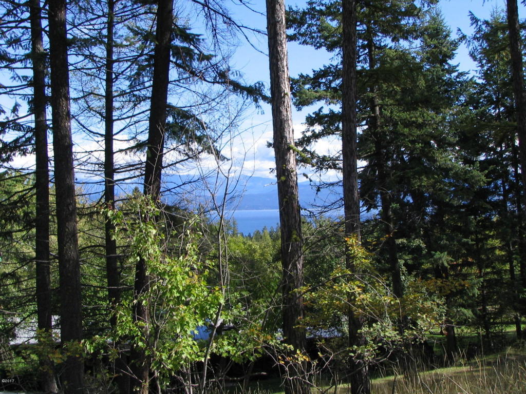 393 Skookum Road, Lakeside, MT 59922