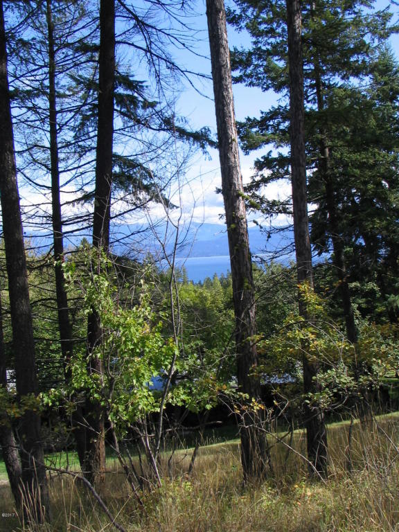 393 Skookum Road, Lakeside, MT 59922